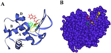 [PDF] Analysis of Core Region from Egg White Lysozyme Forming Amyloid ...