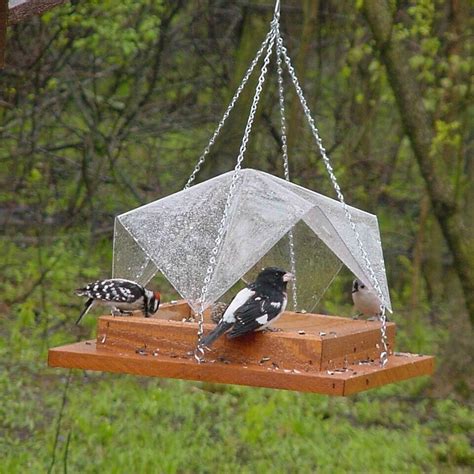 Photo Gallery of The DIY Squirrel Proof Bird Feeder