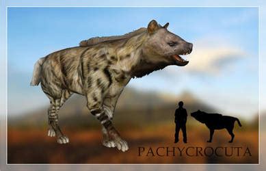 #pachycrocuta | Explore pachycrocuta on DeviantArt