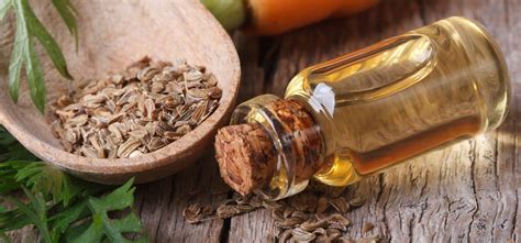 Celery seed oil order online-Carolaroma