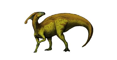 Parasaurolophus Pictures & Facts - The Dinosaur Database