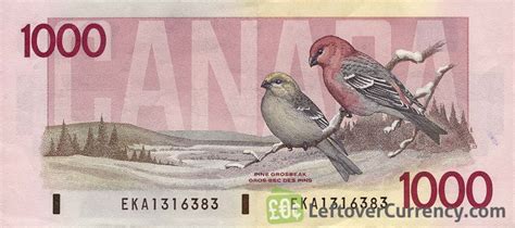 1000 Canadian Dollars (Birds of Canada) - exchange yours today