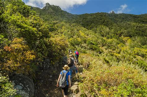 The best hiking trails in Tenerife: Tenerife Walking Festival 2018 ...