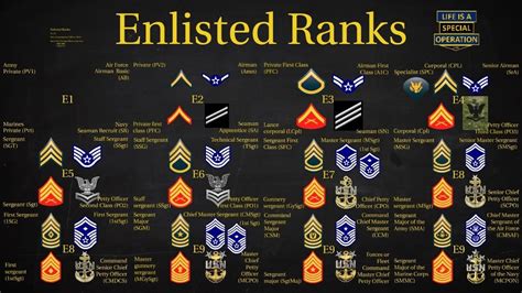 Laminated United States Army Rank Chart Reference Enlisted Officer NCO ...