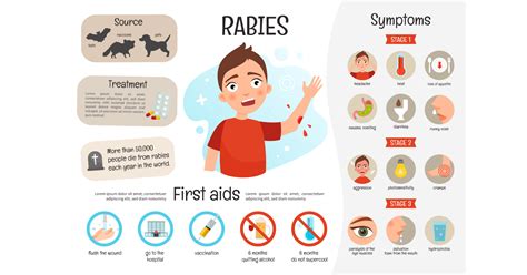 Rabies: Types, Symptoms, Causes, Prevention and Treatments