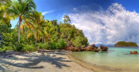 Photos Indonesia Lelintah West Papua beaches Nature Palms 2560x1333