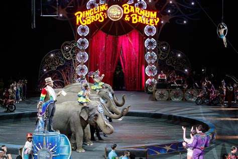 Ringling is returning with an animal-free circus. Will you go?