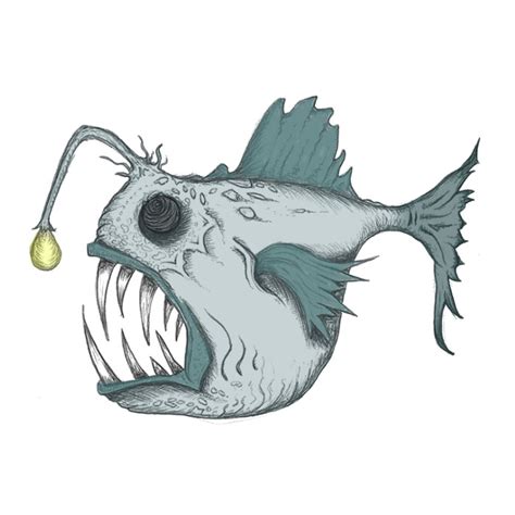 Anglerfish drawing | Sea Life Art