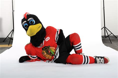 Chicago Blackhawks Mascot Punches & Bodyslams Fan [VIDEO] | Heavy.com