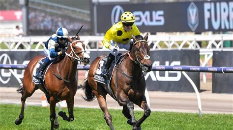 Melbourne Cup 2023 full finishing order, result, where every horse ...