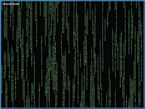 Matrix rain screensaver windows - Download free