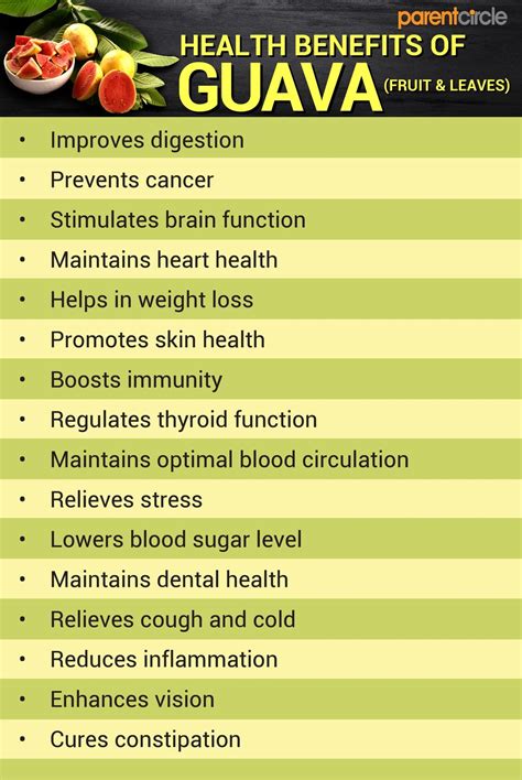 Health Benefits of Guava Fruit and Leaves, Guava Nutritional Value Per ...