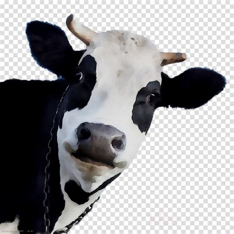 0 Result Images of Cow Head Logo Png - PNG Image Collection