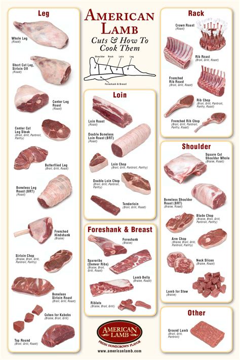 cp-lamb-cuts-diagram – Caledonia Packing