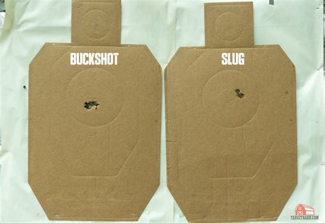 Buckshot vs. Slug - Best Shotgun Shells for Home Defense