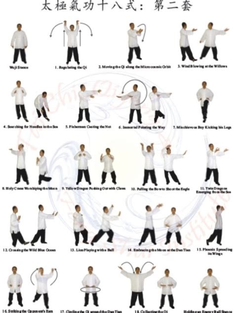 Tai Chi Qigong Shibashi-Set 2 Poster - Tai Chi, Qigong & Feng Shui ...