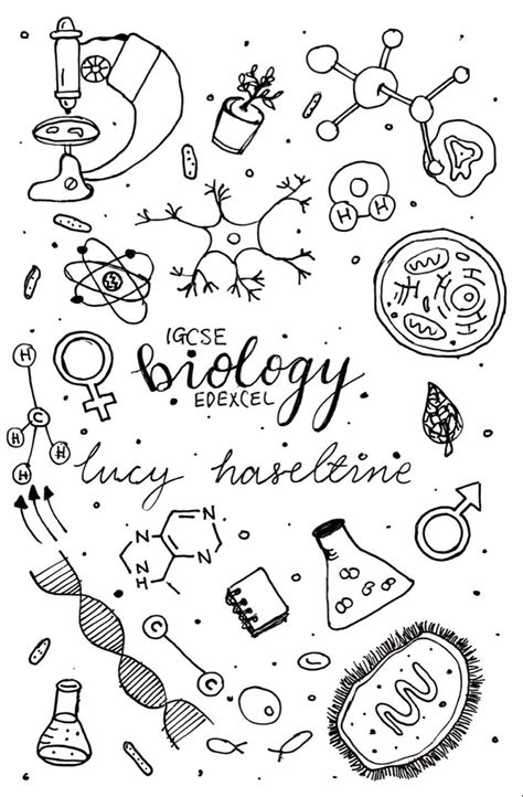 bio cover page | School book covers, Front page design, Biology projects