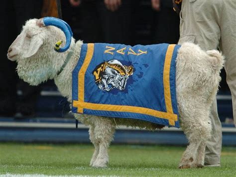 Navy - United States Naval Academy Midshipmen - mascot Billy the Goat ...