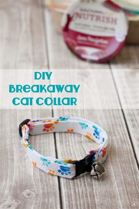 How to Create a Homemade DIY Cat Collar - Third Stop on the Right