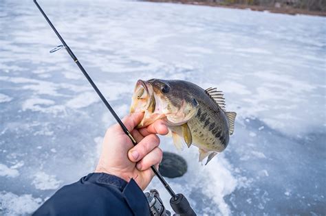 Ice Fishing Gear: 8 Essentials for Cool Catches | How to Winterize Your RV