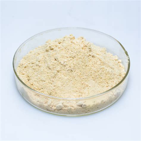 Manufacturer food grade xylanase enzyme with good price - RunYu BioTech ...