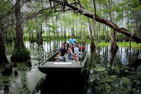 Winter in the Swamp: How Different Louisiana Wildlife Adapt - Pearl ...