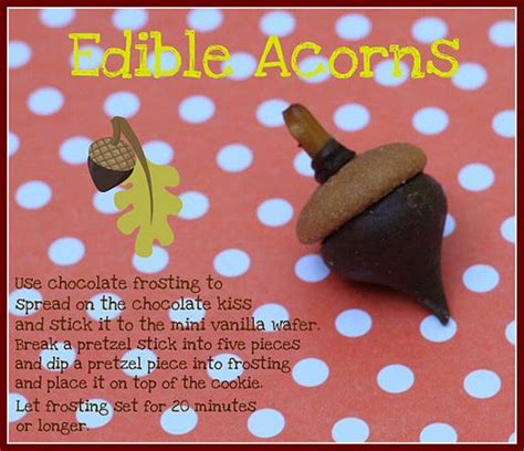 edible acorns | Edible acorns, Eating acorns, Kisses chocolate