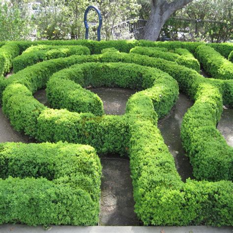 Garden Mazes In England | Fasci Garden