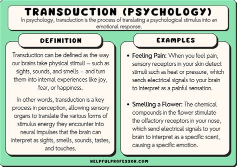 Transduction (Psychology): 10 Examples and Definition (2024)