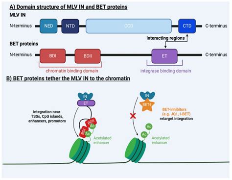 Viruses | Free Full-Text | Determinants of Retroviral Integration and ...