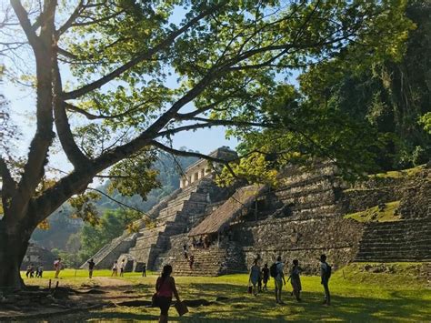 Exploring Mexico's Enchanting Tropical Rainforests - https://mexicodude ...