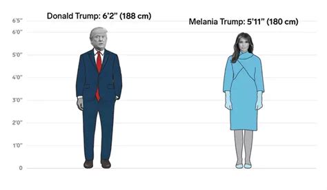 Lifesize First Lady Melania Trump Cardboard Cutout Standup | lupon.gov.ph