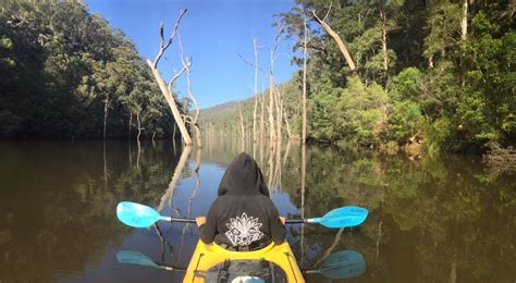 Kangaroo Valley Kayaking Safari | Urban Legends Tour Co