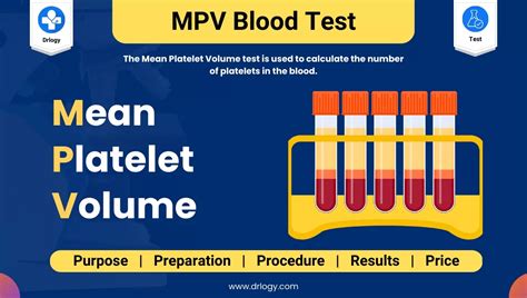 PDW Blood Test: Normal Range and High Range Explained - Drlogy