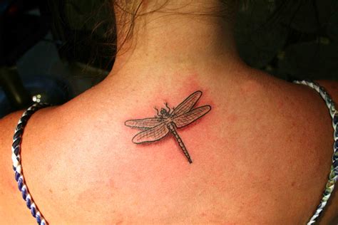 Dragonfly Tattoos Designs, Ideas and Meaning | Tattoos For You