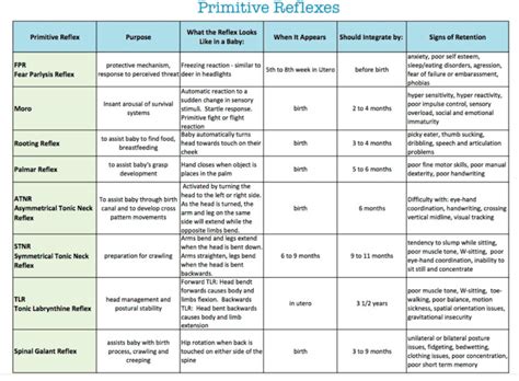 What are Primitive Reflexes? - The Energy Source