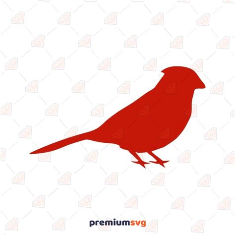 Red Cardinal SVG, Red Cardinal Vector Clipart File | PremiumSVG