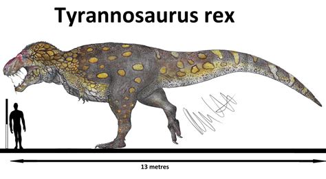 Tyrannosaurus rex 2k19 2.0 by Teratophoneus on DeviantArt