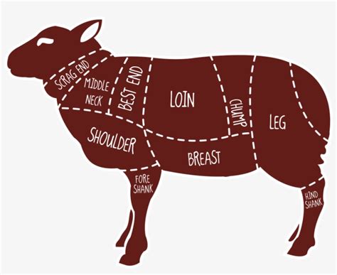 Free Download Meat Map Of A Lamb Clipart Lamb And Mutton - Sheep Cuts ...