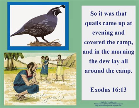 Bible Fun For Kids: Moses: Manna & Quail to Eat! | church crafts ...