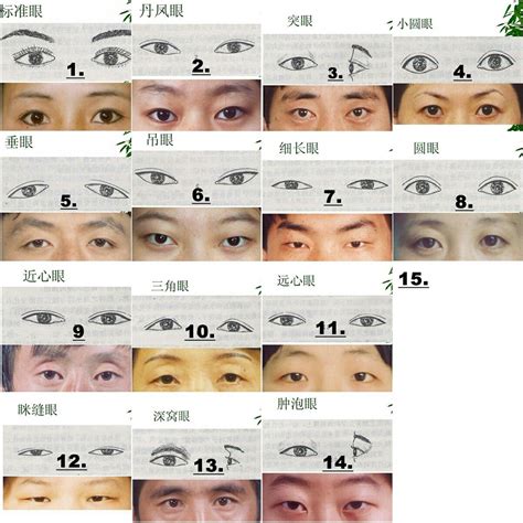 Type of Asian Eyes | Tecniche di disegno, Anatomia, Iridi