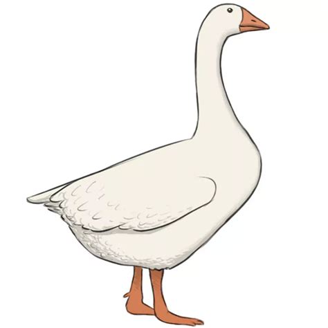 How To Draw A Goose - Plantforce21