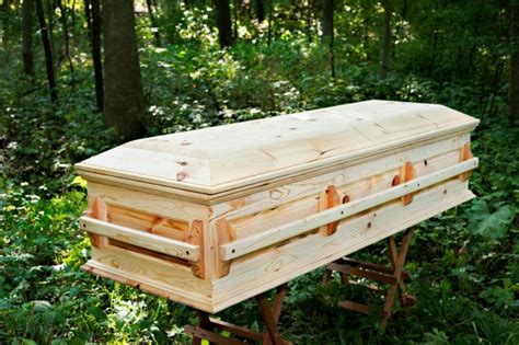 Homemade Casket Designs PDF Woodworking | Wood casket, Casket, Funeral ...