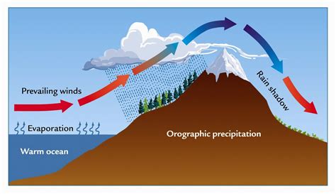 Diagram Of Convectional Rainfall