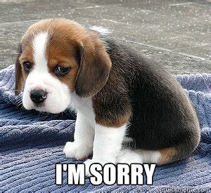 So Sad Puppy memes | quickmeme