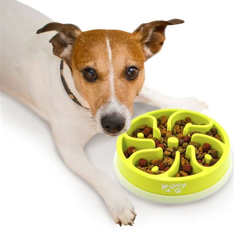 Slow Feed Dog Bowl Slowly Bowly by 2PET. Fun Interactive Dog Dish for ...