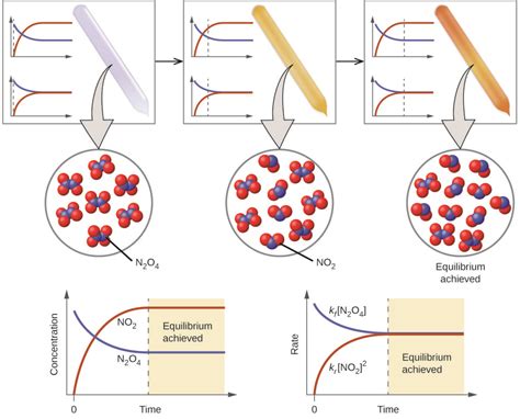 Chemical Equilibrium Animation