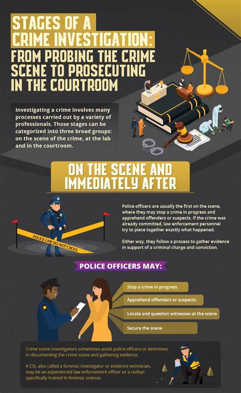 Stages of a Crime Investigation and Criminal Justice Careers | UCF Online