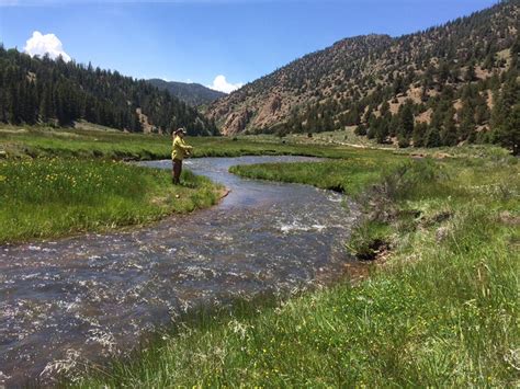 Fly Fishing Red River New Mexico - Trout Fishing - NMRA