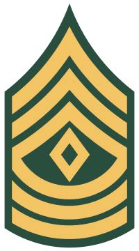 U.S. Army First Sergeant - Pay Grade and Rank Details